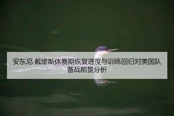 安东尼·戴维斯休赛期恢复进度与训练回归对美国队备战前景分析