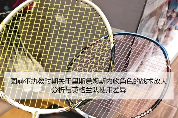 tu-he-er-zhi-jiao-shi-qi-guan-yu-li-si-zhan-mu-si-nei-shou-jue-se-de-zhan-shu-fang-da-fen-xi-yu-ying-ge-lan-dui-shi-2-878.jpg